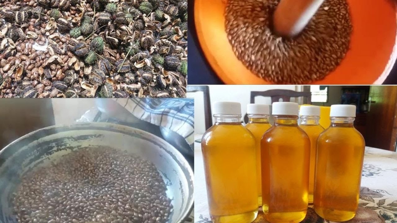 Making Homemade Castor Oil: A Step-by-Step Guide