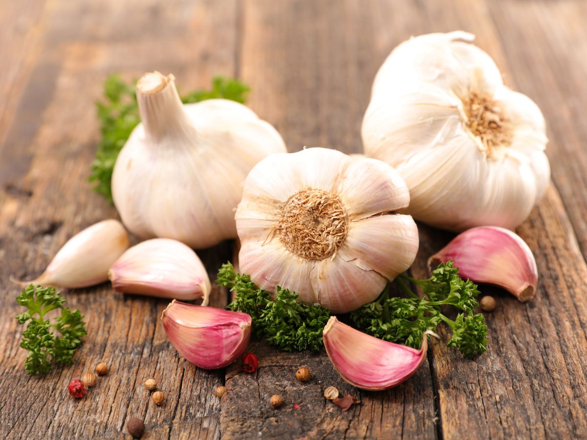 Uncover the Unexpected Health Advantages of Garlic